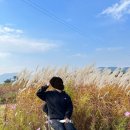 짱구애견하우스 이미지