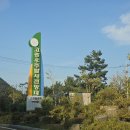 통일발원지공원 Daum카페