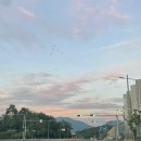 바다식자재할인마트 이미지