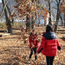 숲속의명품마을 이미지