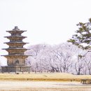 왕궁리유적 이미지