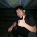 돼지들의이야기 이미지