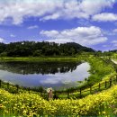 악양생태공원 이미지