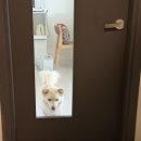 모항레저타운 이미지