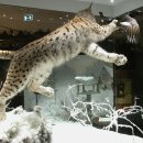 베스트메디칼 이미지