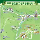 숲속앵두나무 | 무주 향로산 자연휴양림 숲속의집 주목나무 객실 후기