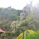 박달4리 이미지