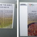 춘원닭갈비