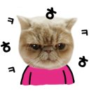 가인쌈밥 이미지