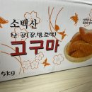 진진상회