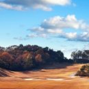 여주-0708 이미지