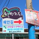 금화천 이미지