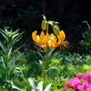 태하 성하신당 이미지