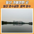 일산호수공원 제1주차장 노래하는 분수대 장미원 한울광장 작은 동물원 방문 후기