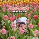 애니몰파크 - 7121 | 용인 여행 가볼 만한 곳 에버랜드 튤립축제, 같이 볼 추천 코스까지!
