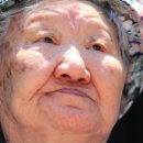 세일(seil) 이미지