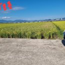 정영식공인중개사사무소 이미지