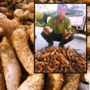 용추폭포가든 이미지