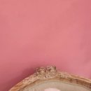 루이스독 이미지