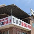 캠핑바베큐한마당 | 안산에서 손안대고 바베큐 캠핑하기! 한마당바베큐 아이랑 방문후기(사장님 왕친절)