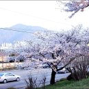 생태세상 이미지