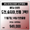 [베트남] 하이퐁 11월 얼리버드특가 단2회 출발 가능!! 94.9만!! 이미지