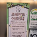 조음민박