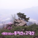 종자산 등산로 이미지
