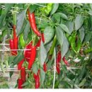 만호농장 이미지