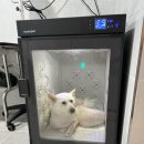 모모카네 펜션 이미지