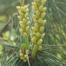 냉수농장 이미지