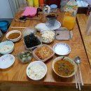 물덴동산 이미지