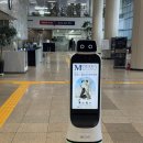 모던29(MODERN29) | [전시] MODERN MAGAZINE 조선의 힙스터 아카이브 전시회 관람후기(4/29)