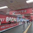 일본 소도시 여행 도쿠시마 자유여행 2박3일 이스타항공 직항 에어텔 솔직후기