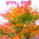 안동지물포