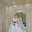 에일린에이 이미지