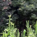 우산공원 주차장 이미지