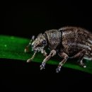 동일약국 이미지