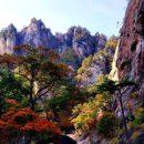 해미레2 이미지