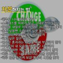 2월19일 불금의 부울경 출석부 이미지