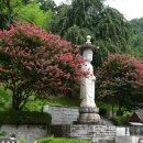 꽃피는 풍경 이미지