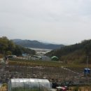 용신농장 네이버블로그