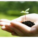 호 태양광발전소 이미지