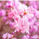 화담펜션 - 광주시 시어골길178번길 45 | 화담펜션