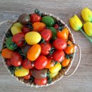 방주농원 이미지