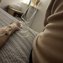 청구프라자약국 이미지