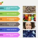 에스군스팀세차