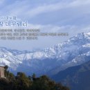 루나피에나양식당 이미지