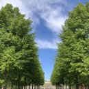 쿠미카페 이미지