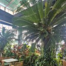 식물원옆카페 이미지